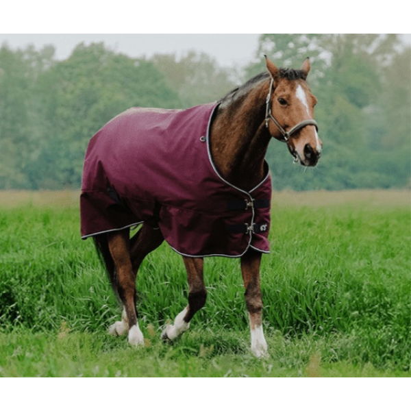 REITSPORT RUHM / 薄馬着