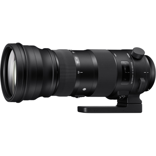 シグマ 150-600mm F5-6.3 DG OS HSM Sports キヤノンEF用 | 交換レンズ