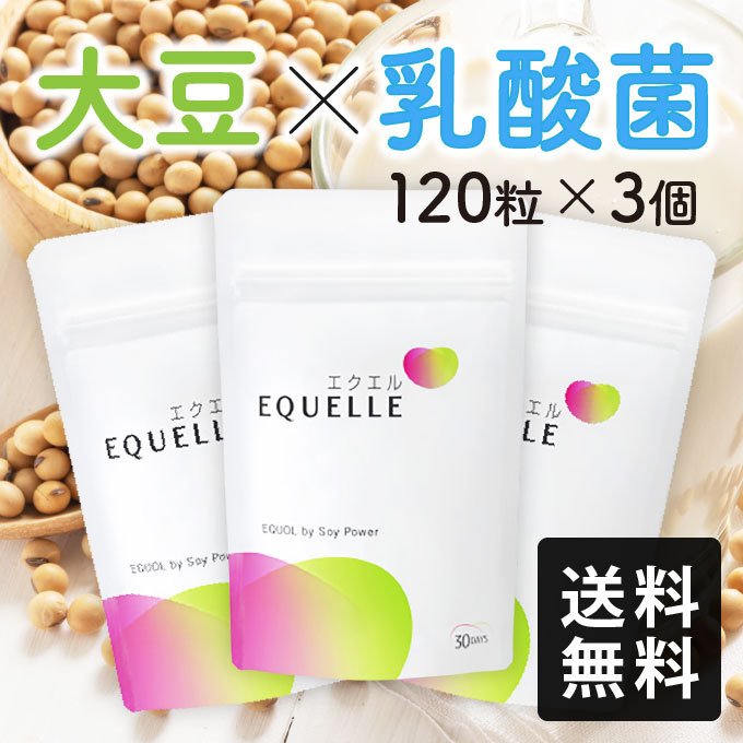 エクエル パウチ 120粒 大塚製薬 エクオール : エクセレントメディカル