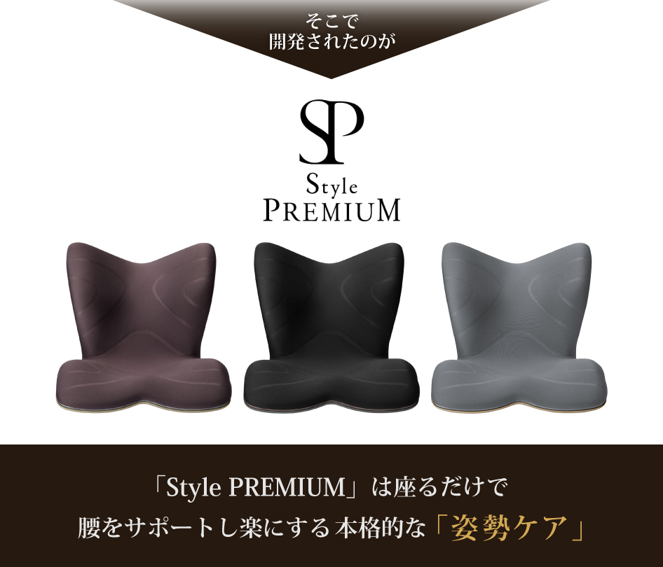 Style（スタイル） 姿勢ケアシート Style PREMIUM プレミアム MTG 骨盤