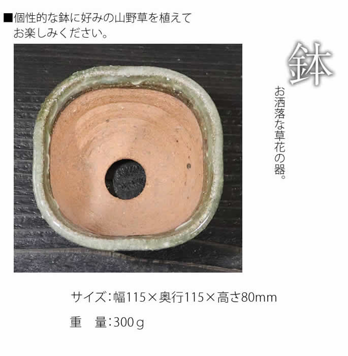 山野草鉢 信楽焼 手づくり 山草鉢 鉢 山草 コケ玉 手作り 植木鉢 陶器