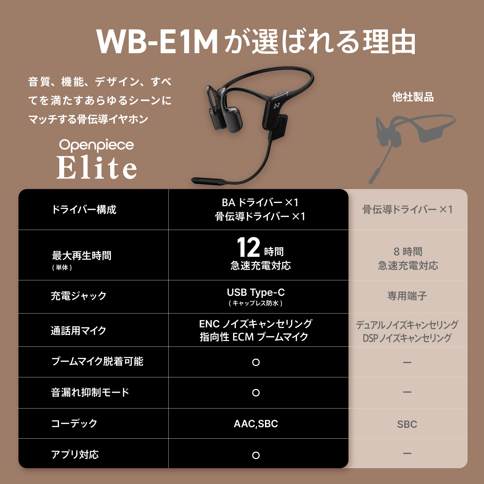 AVIOT AVIOT WB-E1M 指向性ECMブームマイク付き 骨伝導 イヤホン