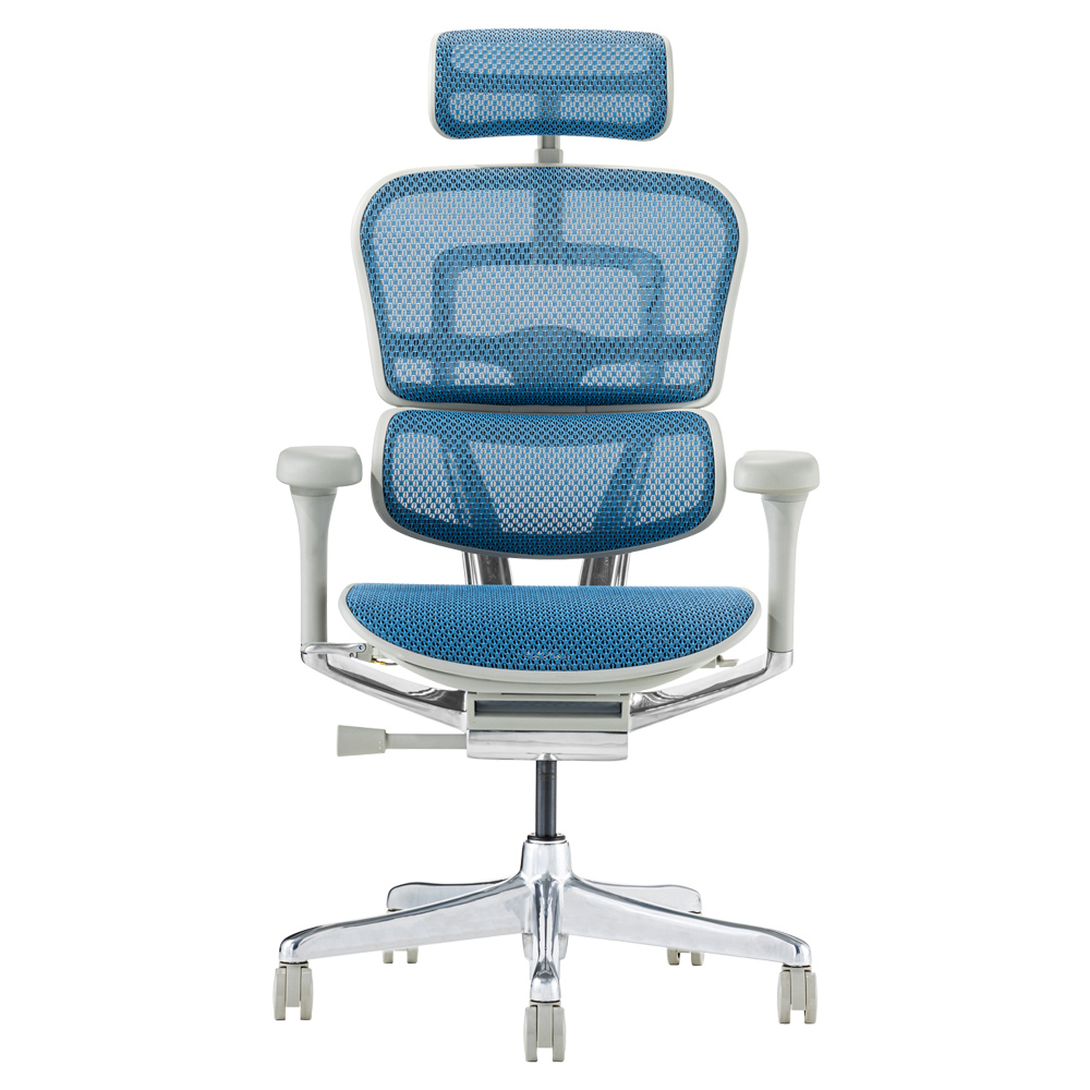 エルゴヒューマン（Ergohuman） プロ2 ヘッドレスト付 メーカー組立済