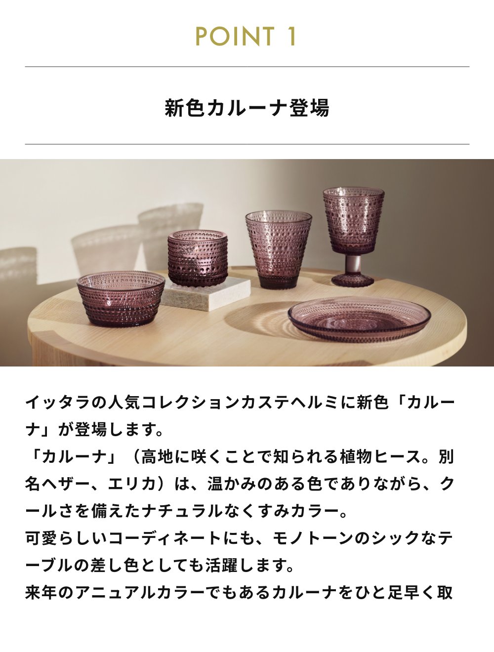 iittala（イッタラ） カステヘルミ カルーナ プレートペア 2個セット