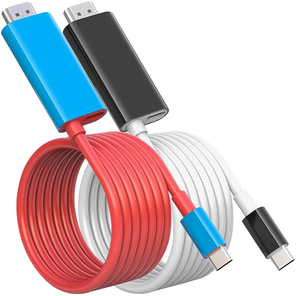 Switch ドック HDMI 変換ケーブル 2本セット Type C USB スイッチ 交換