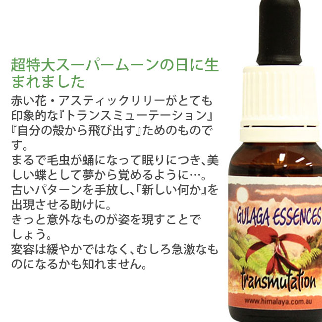 トランスミューテーション ヒマラヤンエンハンサーズ