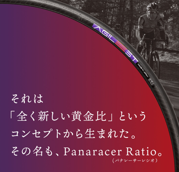 Panaracer（パナレーサー） 自転車 タイヤ アジリスト デューロ 2本