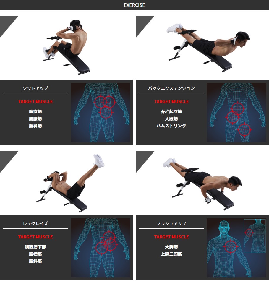アーチベンチ│ アーチ状 シットアップベンチ 腹筋 背筋 : ボディ
