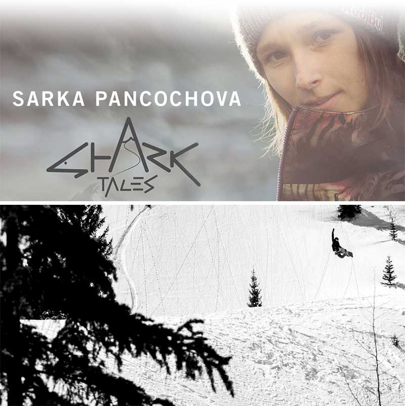 FLOW（フロー） 即出荷 17-18 FLOW/フロー MINX FUSION レディース