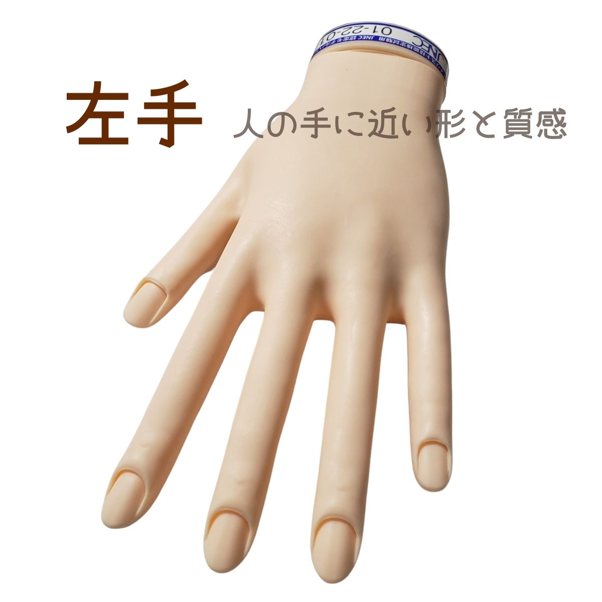 滝川（TAKIGAWA） JNEC認定ハンド STモデルハンド 左手 ネイルチップ