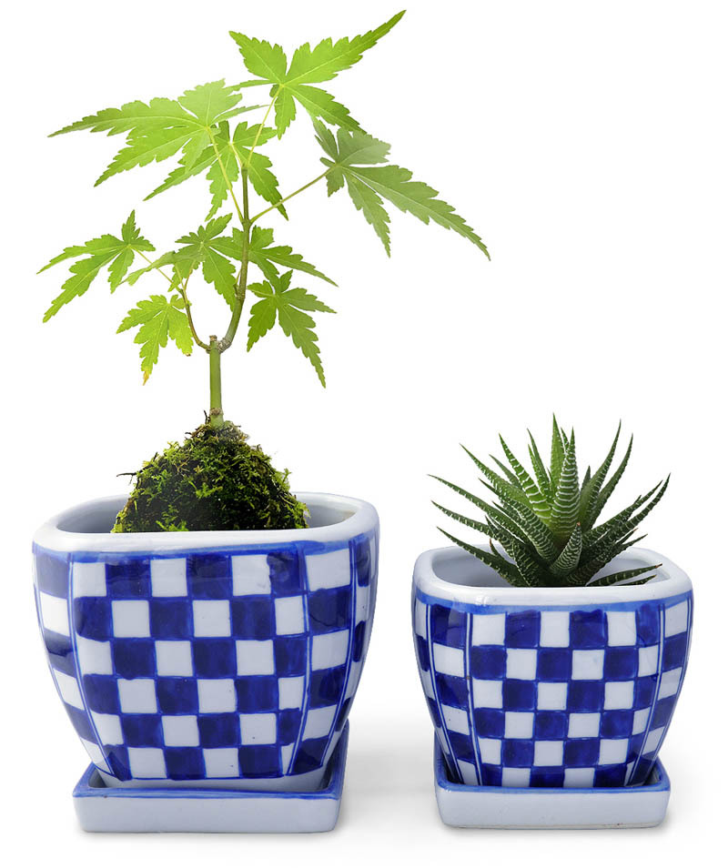 植木鉢 2点セット おしゃれ 陶器 和風 皿付き(市松柄)角鉢 正方角切鉢