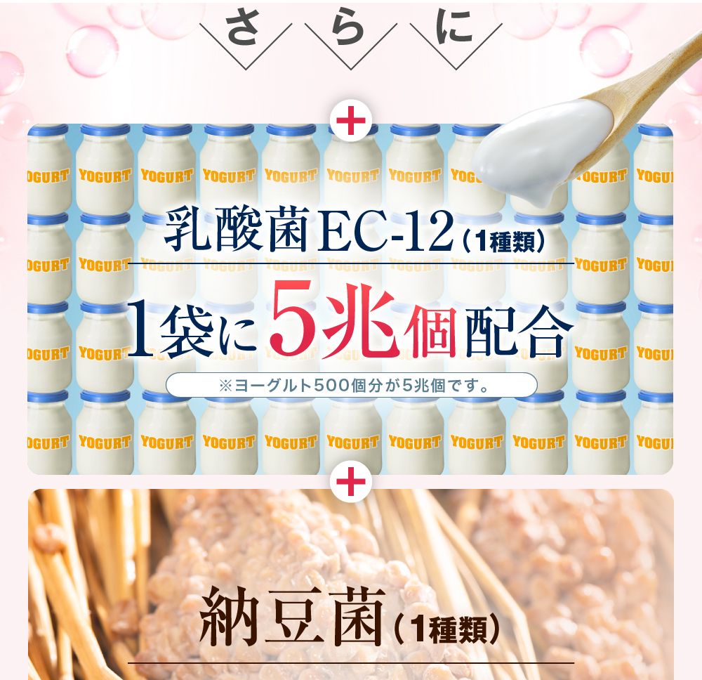 クレンズ革命【激安お得3ヶ月分】ビフィズス菌 納豆菌 乳酸菌 ガセリ菌
