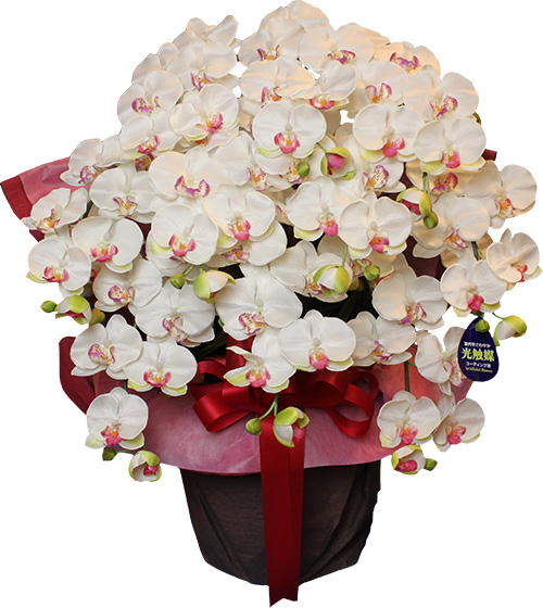 閉店セール☆80％OFF】光触媒 胡蝶蘭 10本立ち 超特大 大輪 造花