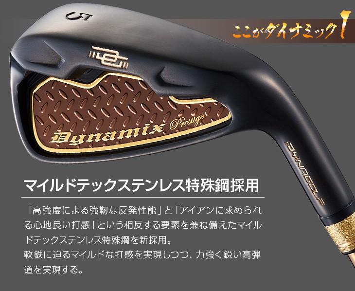 DYNAGOLF（ダイナゴルフ） ゴルフ クラブ アイアンセット メンズ 6本