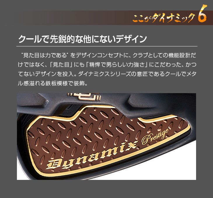 DYNAGOLF（ダイナゴルフ） ゴルフ アイアンセット 6本 メンズ 新品 5I