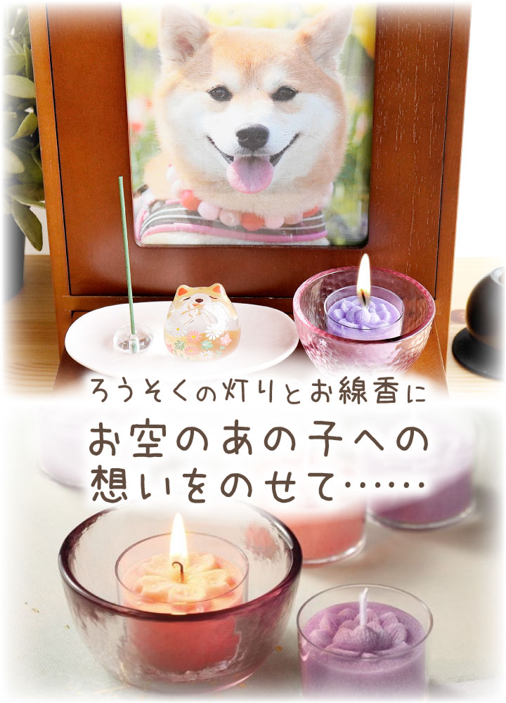 ペット仏具 線香 ろうそく あかりとかおり 桜 蓮 ミニ キャンドル