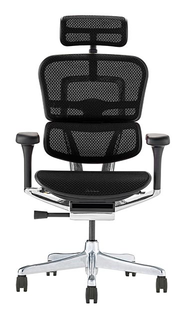 エルゴヒューマン（Ergohuman） 2025年新型 レビュー特典あり プロ2