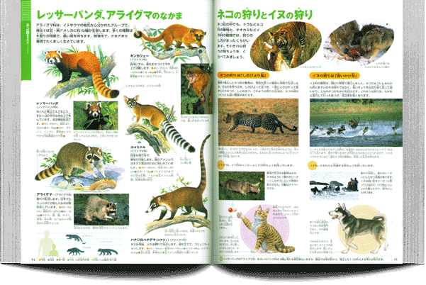 小学館の図鑑NEO／1〜10巻セット : 脳トレ生活 - 通販 - Yahoo