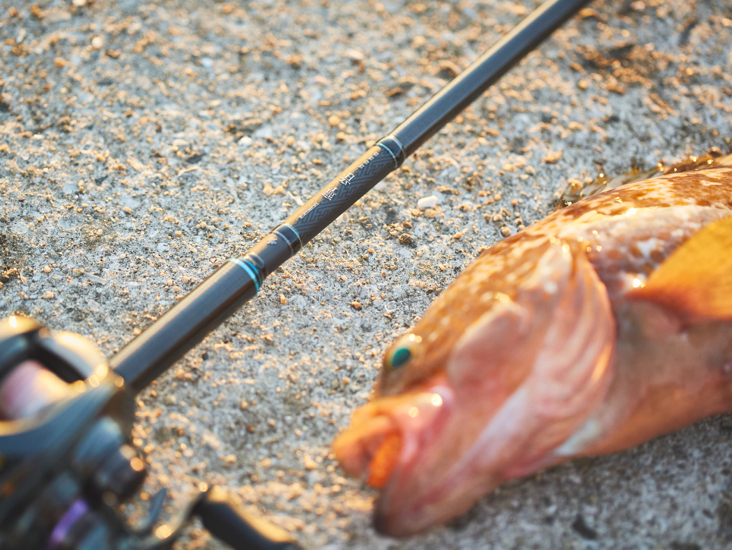 Gamakatsu（がまかつ） (再入荷予約・送料無料)がまかつ/ラグゼ ラグゼ