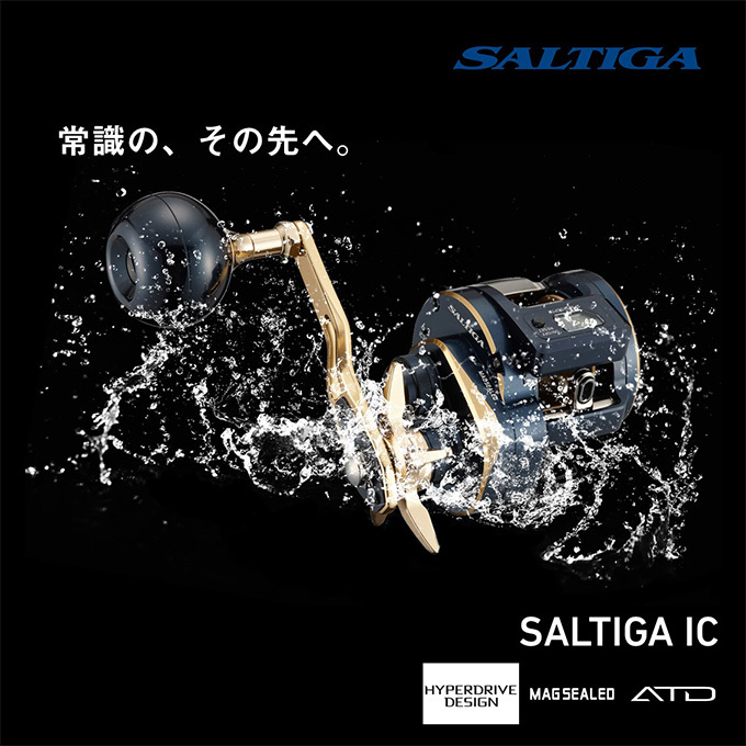 DAIWA（ダイワ） 21 ソルティガ IC 100L (左ハンドル) 2021年モデル