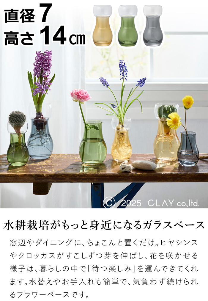 Clay（クレイ） ＼3/5はポイント10倍／ 水耕栽培 ガラス ベース ポット