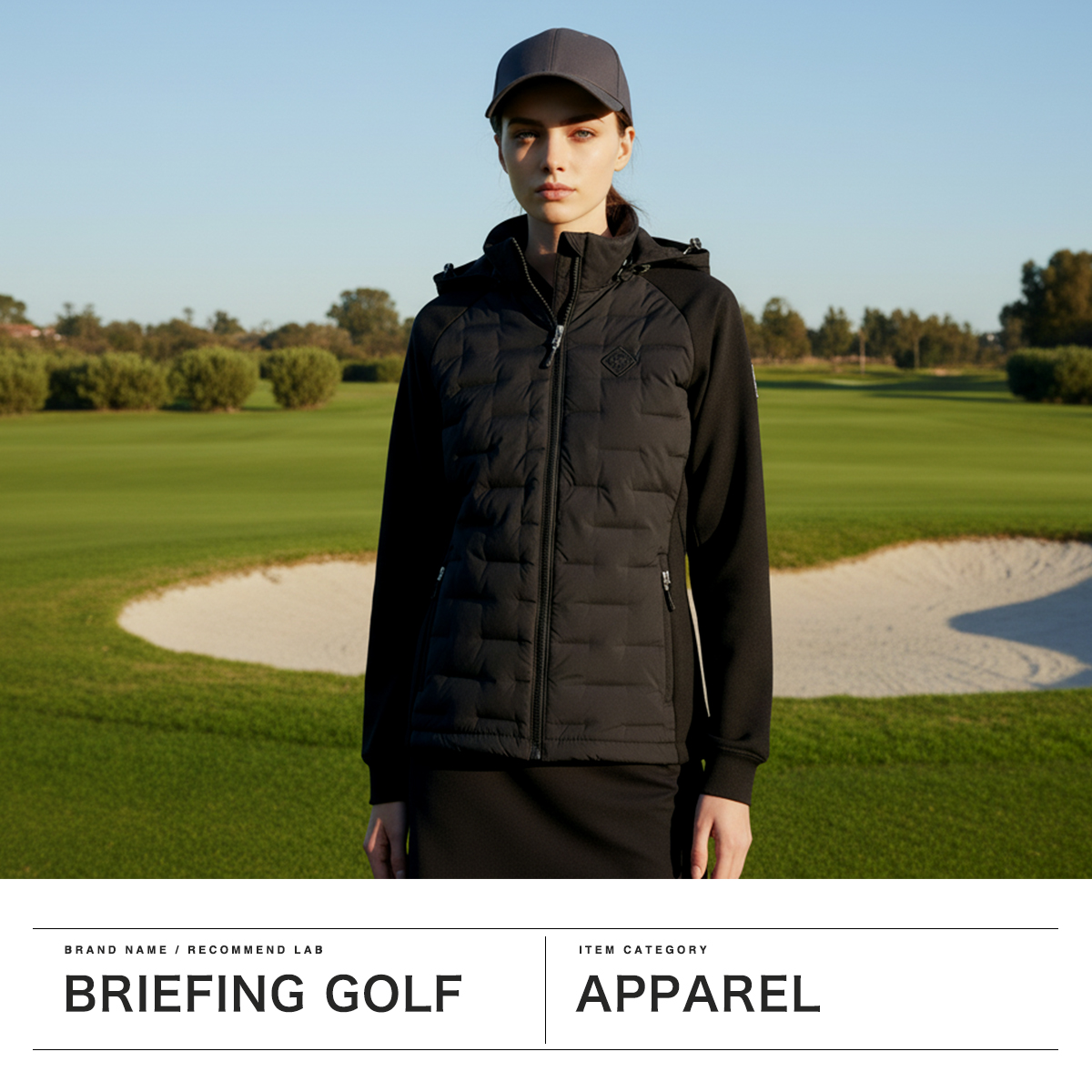 BRIEFING GOLF（ブリーフィングゴルフ） 最大51%☆3/8限定 日本正規品