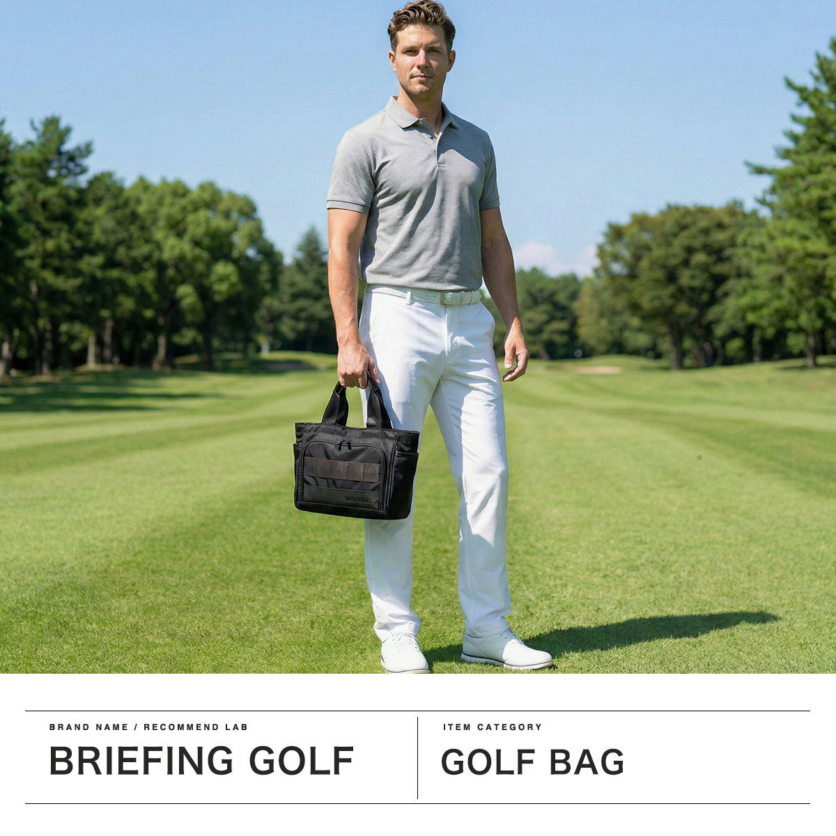BRIEFING GOLF ブリーフィング ゴルフ カートバッグ 【日本正規品