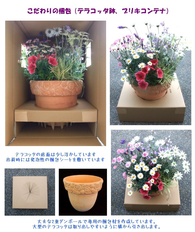 寄せ植え よせうえ 春の寄植え 春の花 春 の 寄せ植え ギフト 送料込