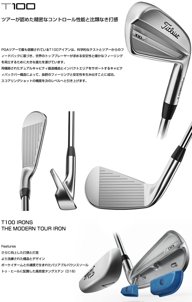 Titleist（タイトリスト） 特注カスタムクラブ T100 アイアン DG95