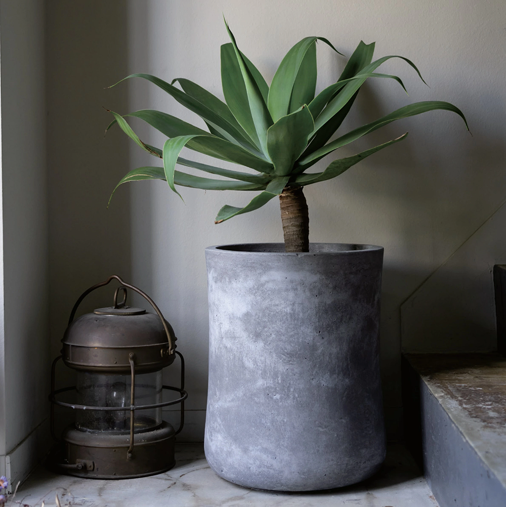法人様への配送限定] 植木鉢 おしゃれ 大型 超大型 プランター