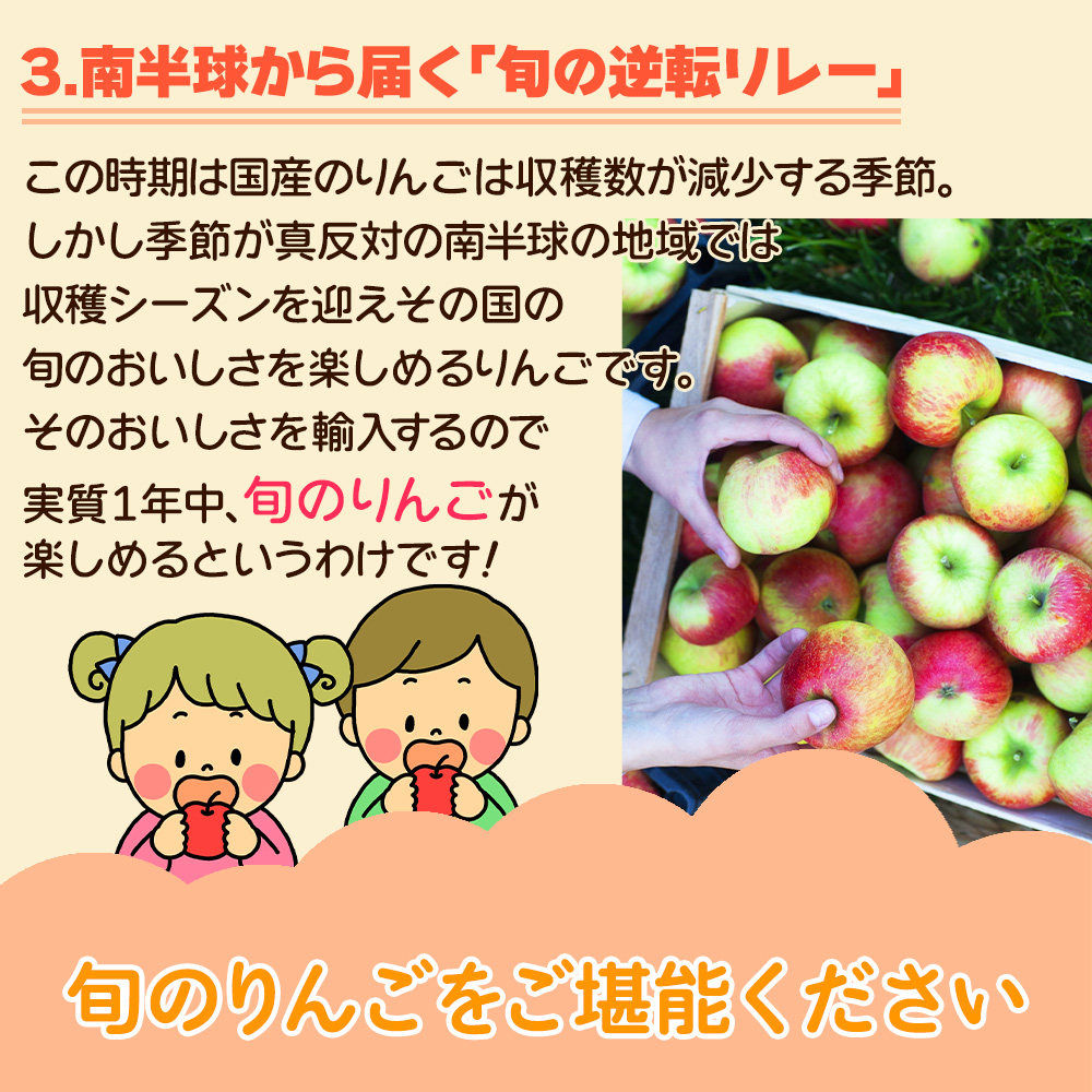 りんご リンゴ 林檎 ニュージーランド産 ロイヤルガラ 10玉 約 1.8kg