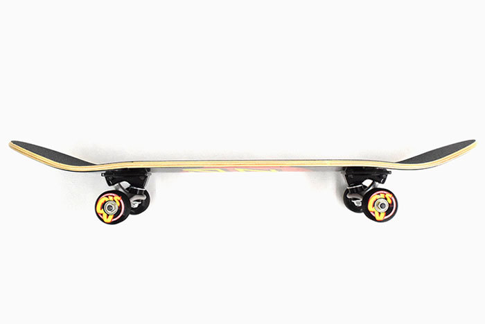 SANTA CRUZ（サンタクルーズ） スケボー スケートボード コンプリート