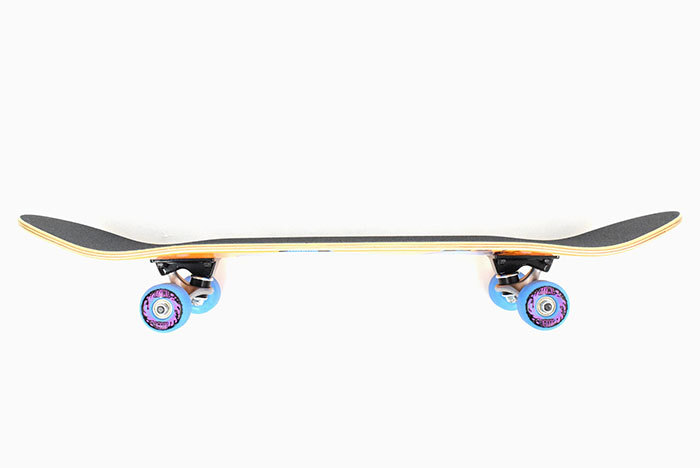 SANTA CRUZ（サンタクルーズ） スケボー スケートボード コンプリート