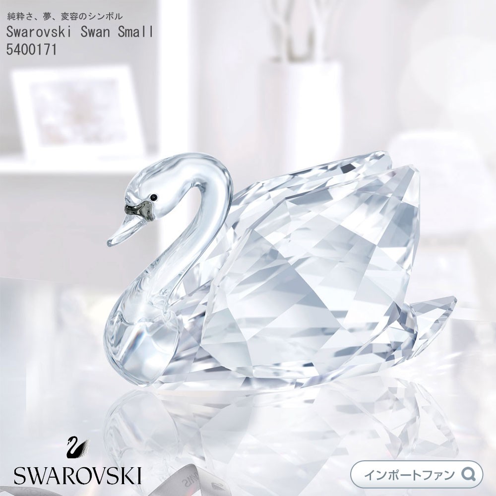 sw5400171_1.jpg