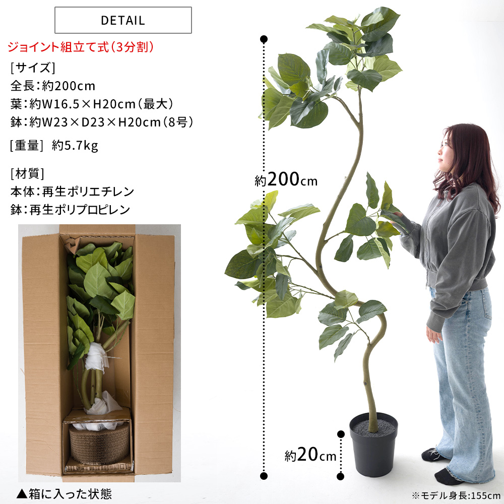 フェイクグリーン 大型 2m フィカス ウンベラータ 観葉植物 リアル
