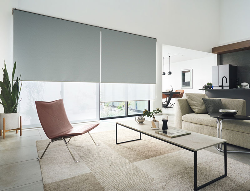 タチカワブラインド ロールスクリーン ラルクシールド ニーマ遮光 RS