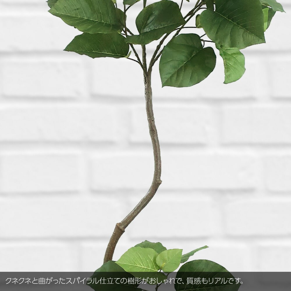 神戸花物語 フェイクグリーン 観葉植物 人工観葉 大型 光触媒 フィカス