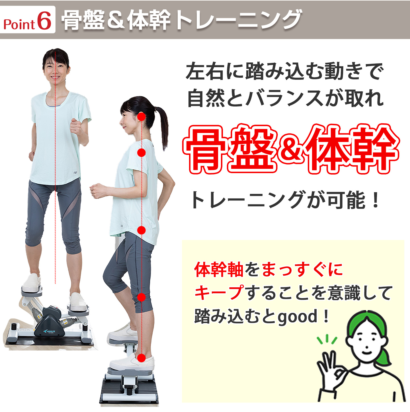 AEROLIFE（エアロライフ） ステッパー サイドステッパー 健康