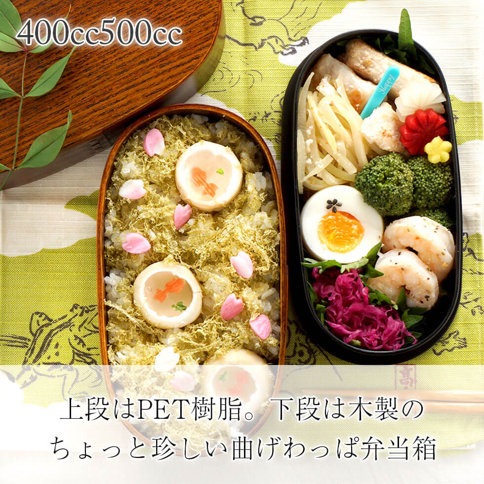 レンジ対応！曲げわっぱ 弁当箱 わっぱ 二段 スリ漆 中子PET 大 バンド