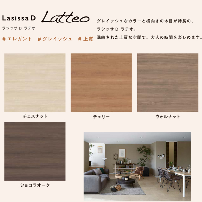 ラシッサ LIXIL ラシッサDヴィンティア 標準ドア LAA (05520・0620