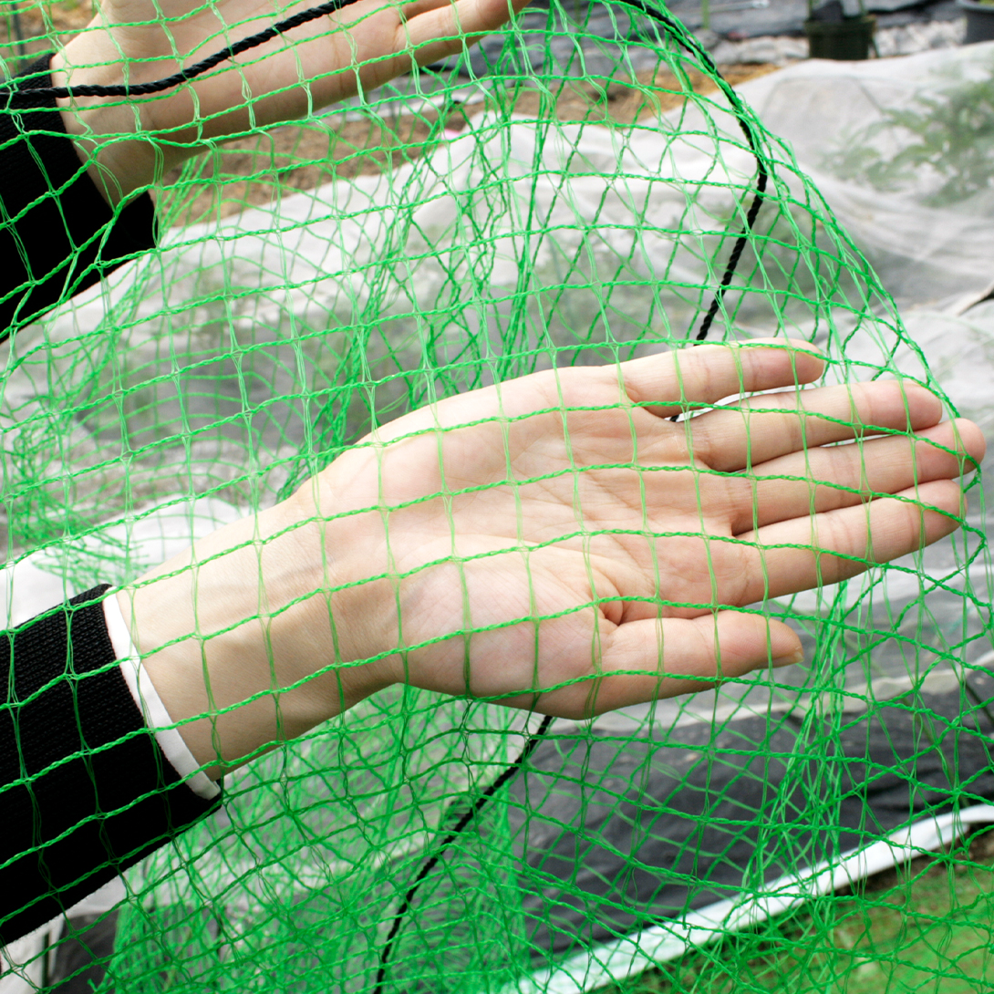 防鳥ネット 丈夫な防鳥ネット（6m×25m）1巻 目合17mm グリーン 網 防鳥
