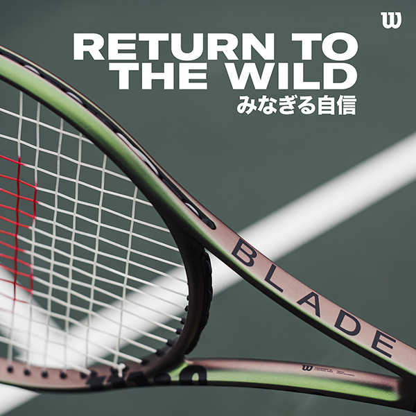 Wilson（ウイルソン） 『即日出荷』「SDGsプロジェクト」ウイルソン
