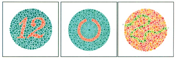 石原式 色覚検査表 II 24表 HP-1205Bの説明 - 通販 - Yahoo!ショッピング