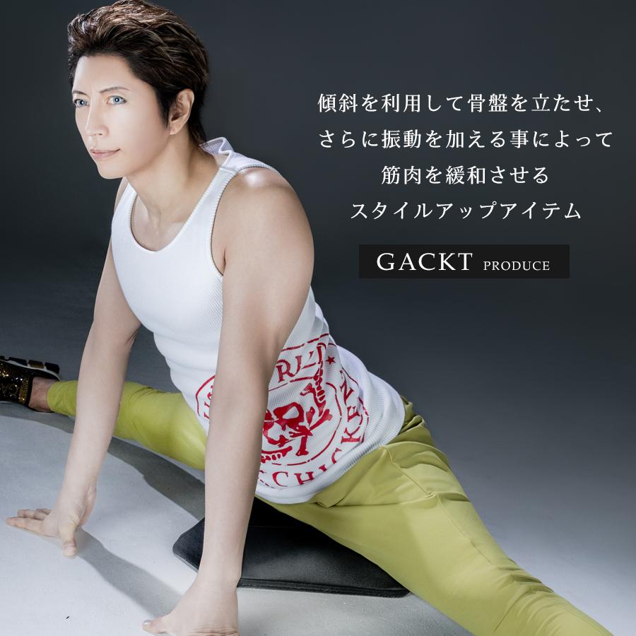 エクストラクッション / GACKTプロデュース スタイルアップ 骨盤 柔軟