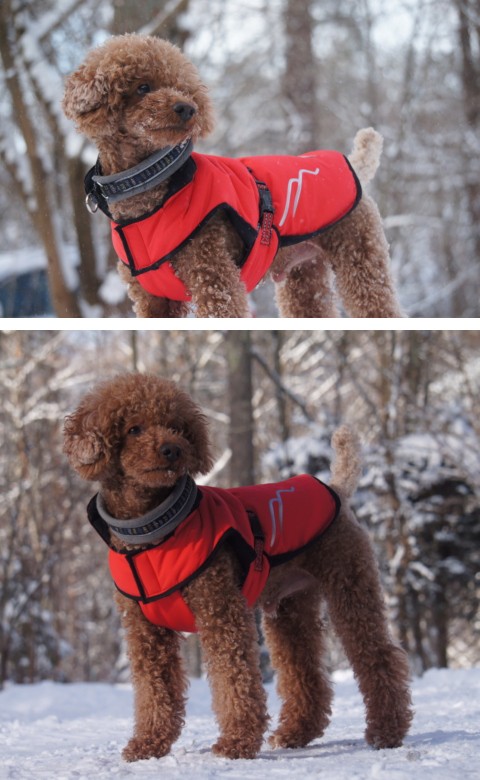 Hakusan ダウンジャケット ゼロジャケット 大型犬用サイズ