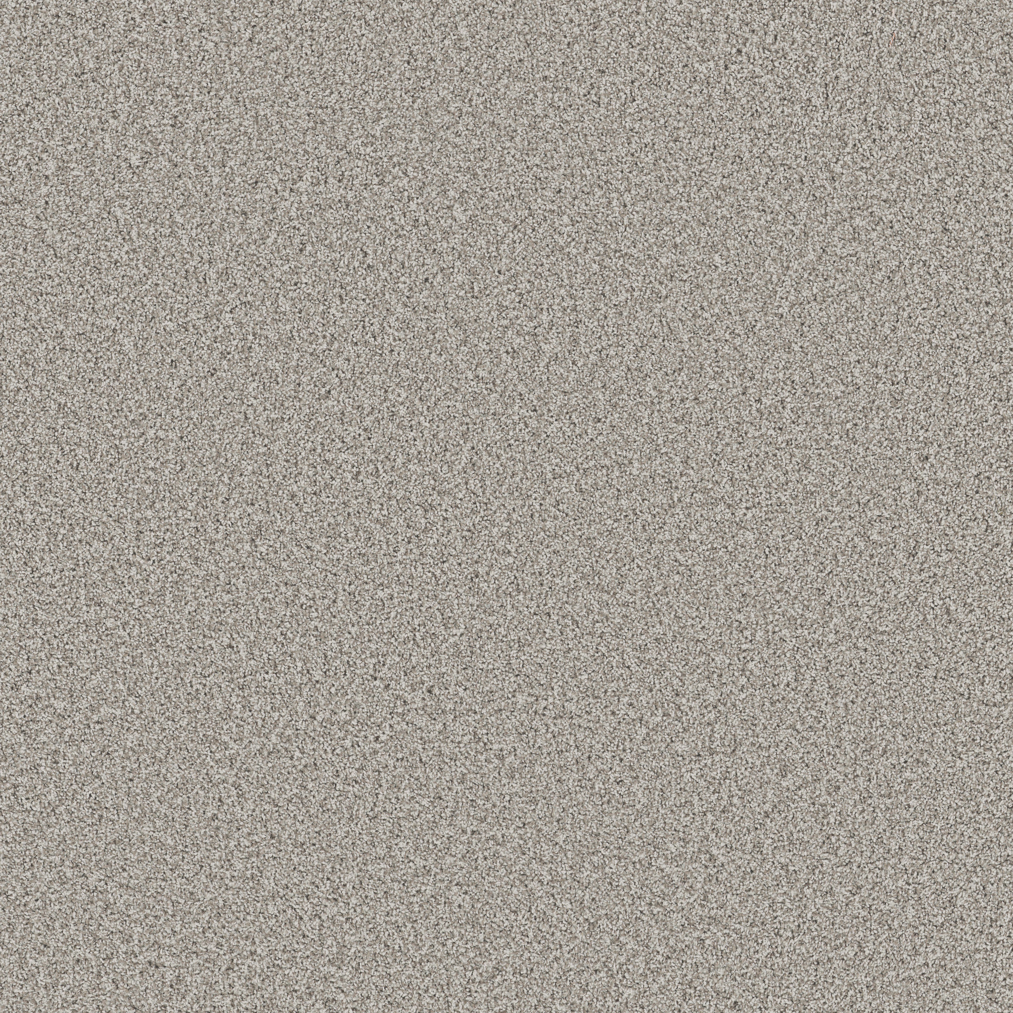 Bossa Nova - 100% ANSO® High Performance Nylon in Beach Grass