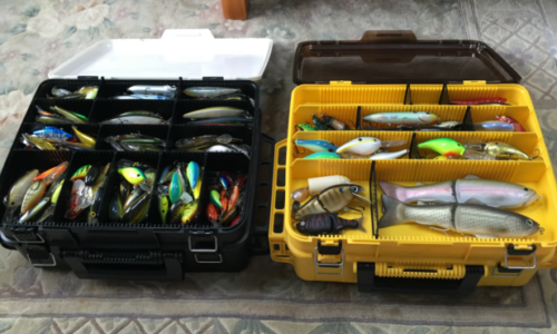 スピナーベイト] | シャロー道