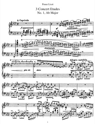 3 Etudes de Concert, S.144 - Liszt Free Piano Sheet Music PDF