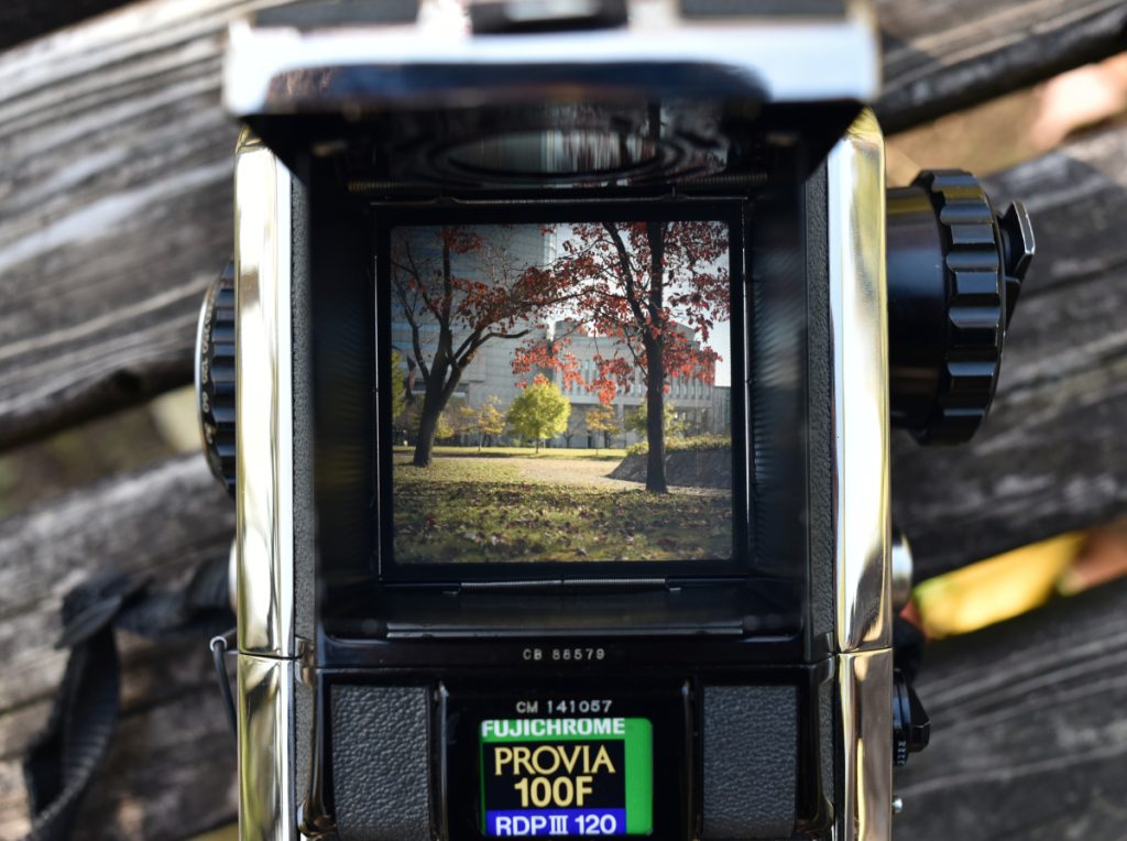 ゼンザブロニカ S2 購入｜自然環境調査報告