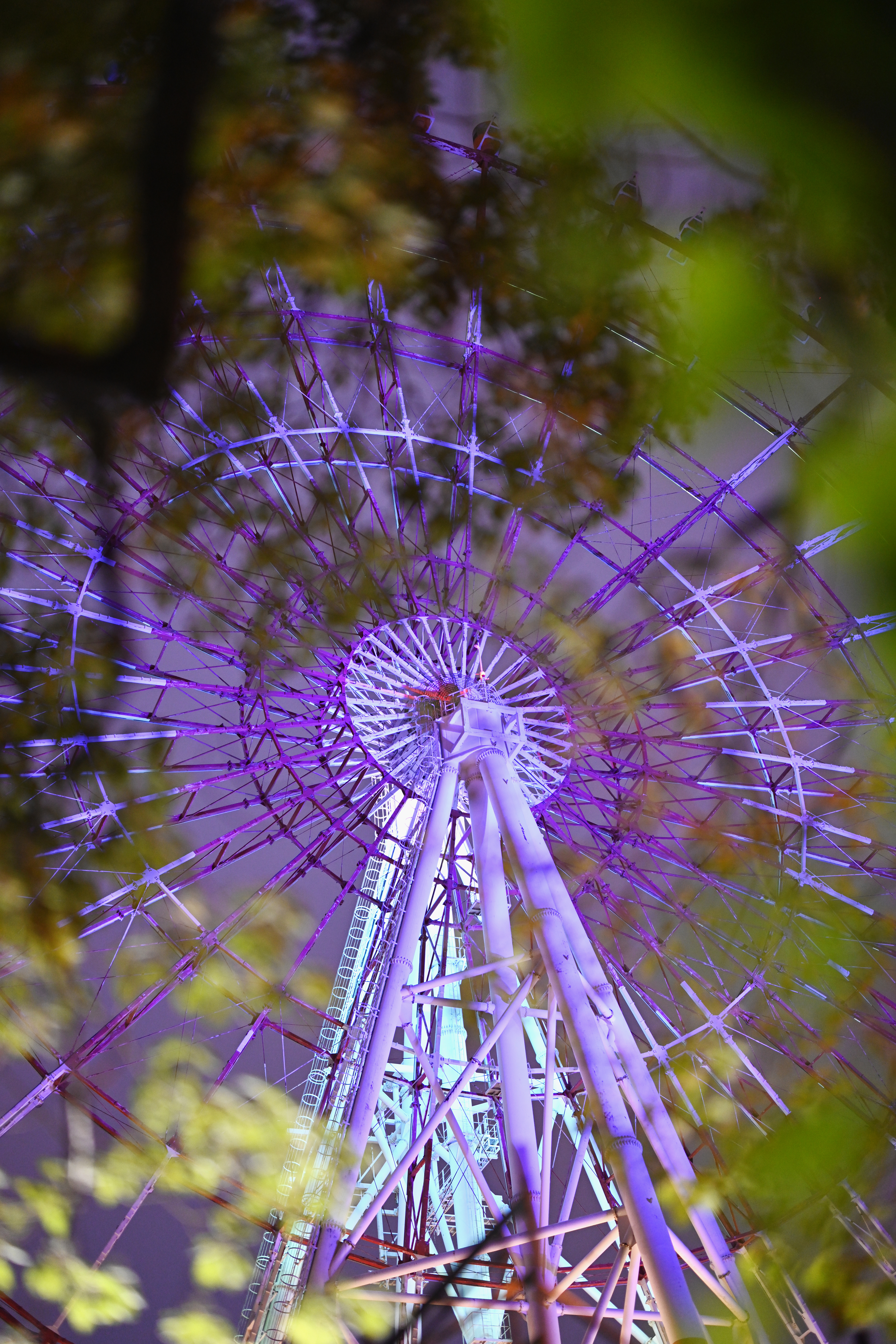 Vol.12 ─ The Nocturne（夜想曲） ─ 「Nikon NIKKOR Z 58mm f/0.95 S